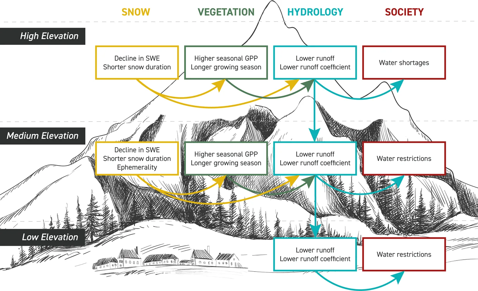 A diagram of the impact chain of snow droughts, linking snow deficit to runoff, vegetation and water-supply impacts across elevations in the mountain landscape.