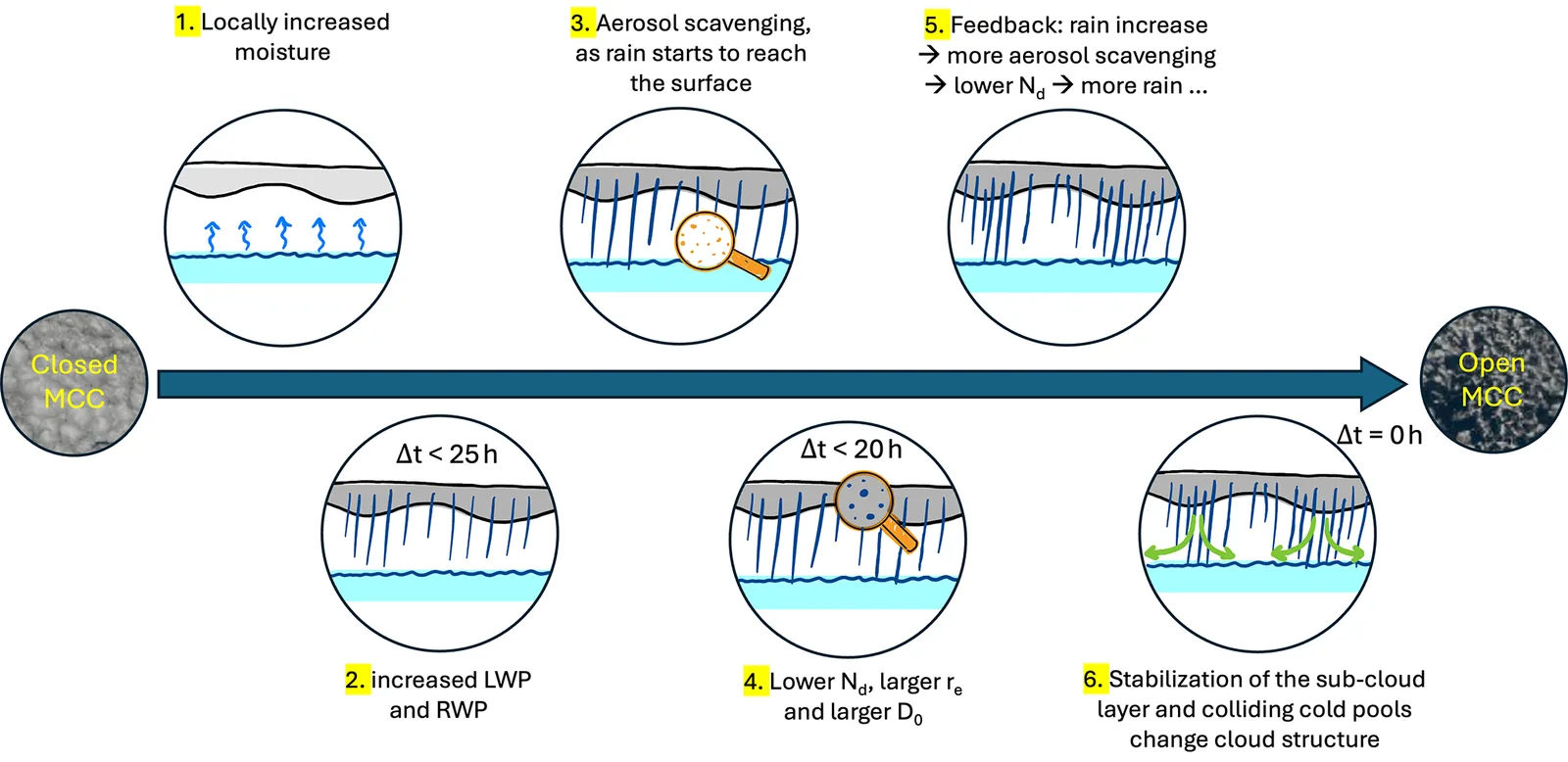 A schematic timeline of the hypothesised steps leading from a closed-cell stratocumulus deck to open cells.