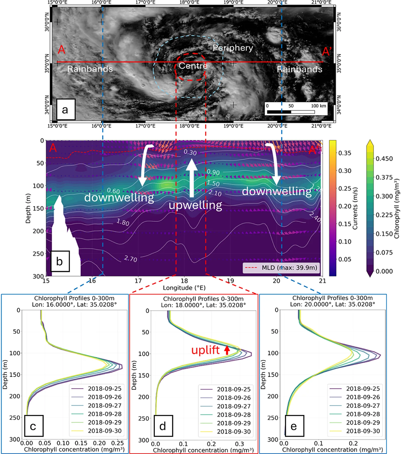 Satellite image of medicane Zorbas beside a cross-section showing chlorophyll, nitrate, currents and mixed layer depth, with the deep chlorophyll layer lifted at the cyclone centre.