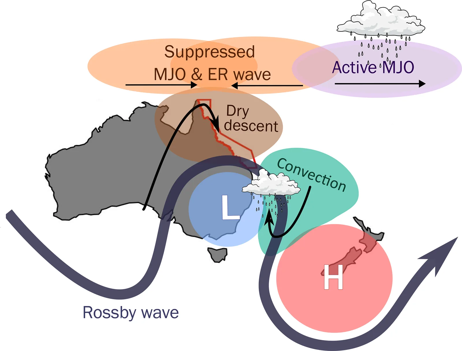 Schematic of the tropical and extratropical processes that make doldrums persist over the Australian region.