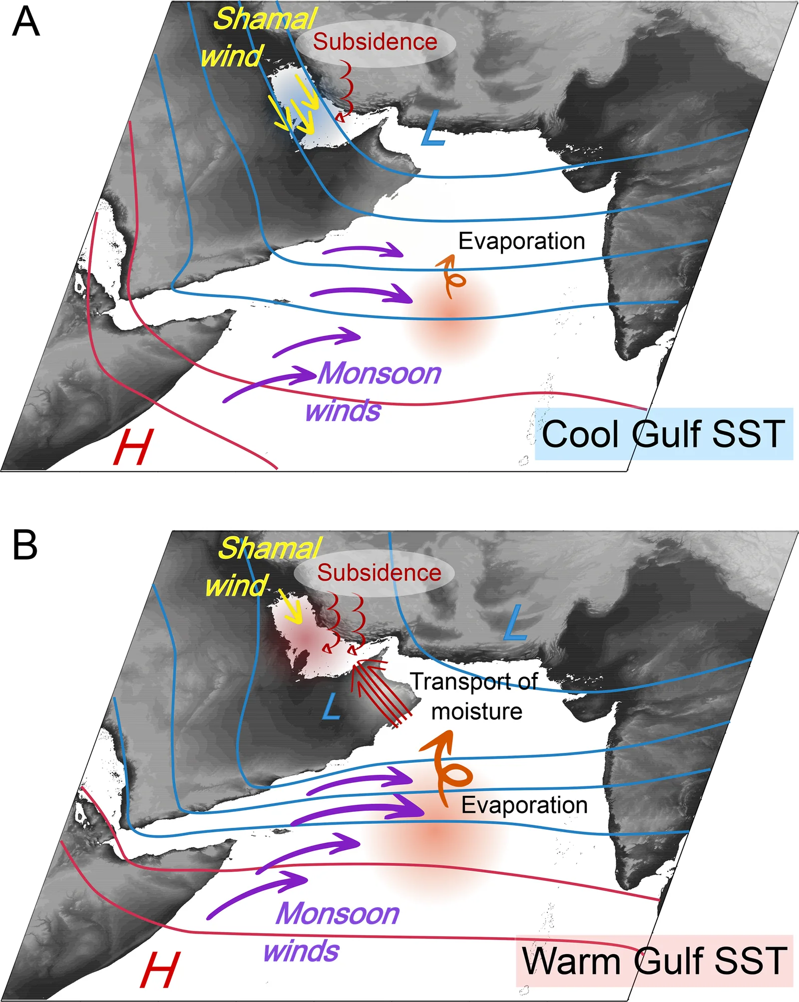 Schematic of the atmospheric conditions behind cool and warm Gulf summers, showing pressure patterns, monsoon and Shamal winds, moisture transport, evaporation and upper-air subsidence.